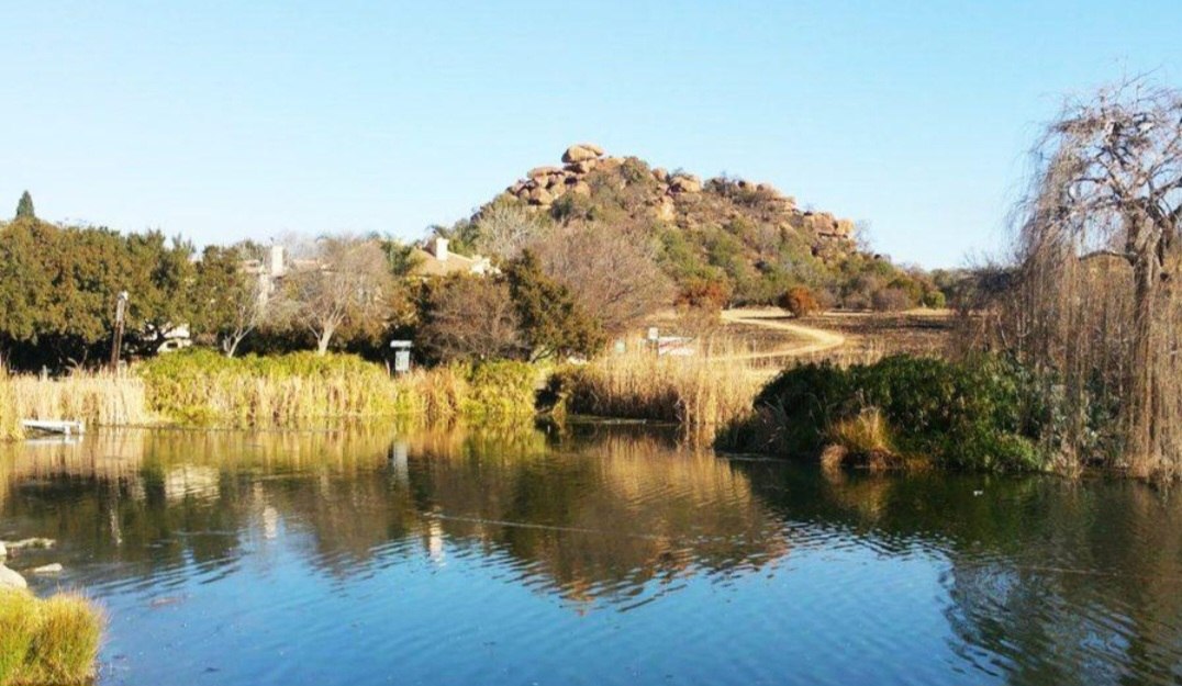Lonehill suburb, Sandton
