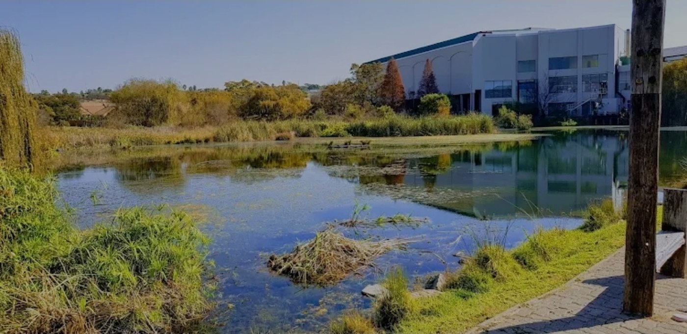 Lonehill market update 2026